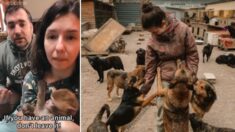 Veterinarios ucranianos se quedan a proteger a animales durante la guerra: “¡No los abandonaremos!”
