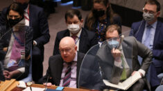 Rusia pide reunión del Consejo de Seguridad de la ONU por «actividades biológicas» en Ucrania