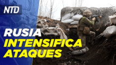 Rusia intensifica ataques en el Este de Ucrania; Renuncia talento informático del Pentágono