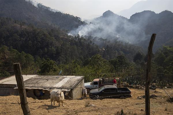 Vista de un incendio forestal en el paraje conocido como Parque Cumbres en la sierra del municipio de Santiago, en el estado de Nuevo León (México), el 7 de abril de 2022. EFE/Miguel Sierra