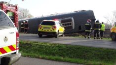 Al menos 5 muertos y más de 10 heridos en choque de tren y camioneta en Hungría