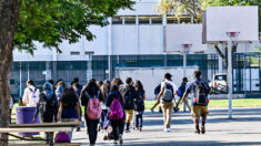 Se descubren más armarios secretos de transición de género en escuelas públicas