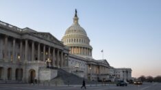 Senado: GOP rechaza ley sobre terrorismo interno, dice que demócratas crearán “policía del pensamiento”