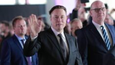 Consejo de Twitter no representa a los accionistas: Elon Musk