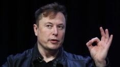 Elon Musk revela una palabra que ahora se considera un insulto en Twitter