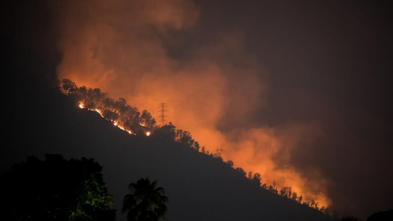 Vista del incendio en un sector del parque nacional Waraira Repano, conocido como cerro el Ávila, en Caracas (Venezuela). EFE/ Miguel Gutierrez
