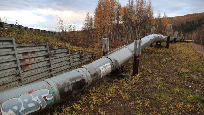 Una parte del sistema de oleoductos Trans Alaska se ve el 17 de septiembre de 2019 en Fairbanks, Alaska. El oleoducto de 800 millas de largo transporta petróleo desde Prudhoe Bay hasta Valdez. (Joe Raedle/Getty Images)