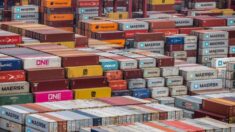 Producción de contenedores casi monopólica de China amenaza cadena de suministro mundial: dice experto