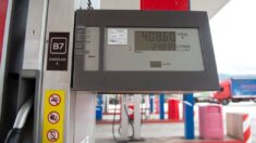 Gasolineras españolas saturadas el primer día de combustible bonificado