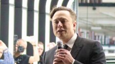 ¿Influencia china en Musk? Tan probable como que el Monstruo del Lago Ness visite Times Square: Inversor