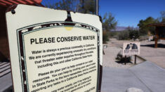Sur de California pide a millones de personas que reduzcan el uso de agua al aire libre en medio de la sequía