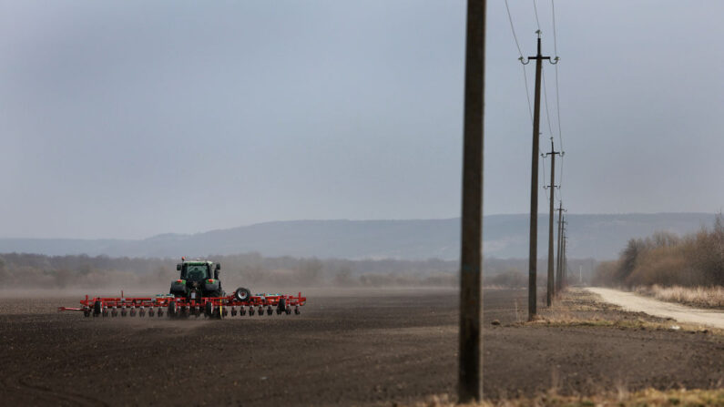 El agricultor Morda Vasyl conduce un tractor que tira de una sembradora con semillas de remolacha azucarera en la granja Zahidnyi Bug el 26 de marzo de 2022 en Humnyska, Ucrania. (Joe Raedle/Getty Images)