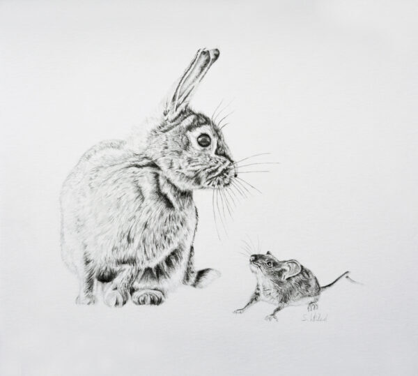 “Greenwich Rabbit and Mouse,", 2021, de Susannah Weiland. Lápiz sobre papel. Enmarcado: 11 pulgadas por 9,8 pulgadas. (Susannah Weiland)