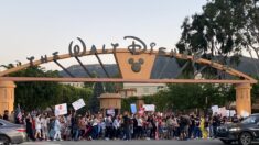 Una multitud protesta contra la agenda «woke» de Disney
