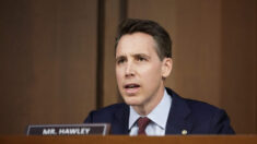 Senador Hawley teme que la nueva junta de desinformación del DHS vigile la libertad de expresión