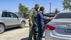 Más de 221,000 inmigrantes ilegales fueron detenidos en la frontera suroeste en marzo: Informe del DHS