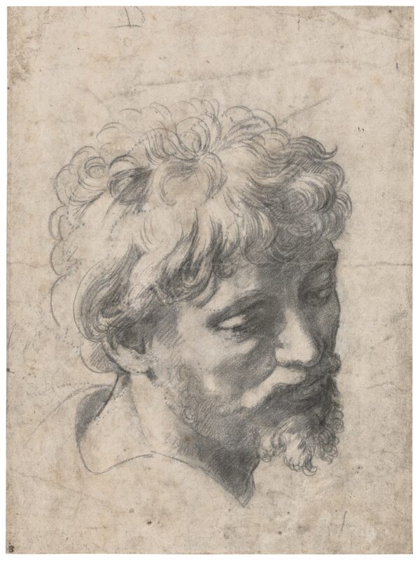 "Estudio para la cabeza de un apóstol en la Transfiguración" de Raphael. Colección privada, Nueva York. (Colección privada)