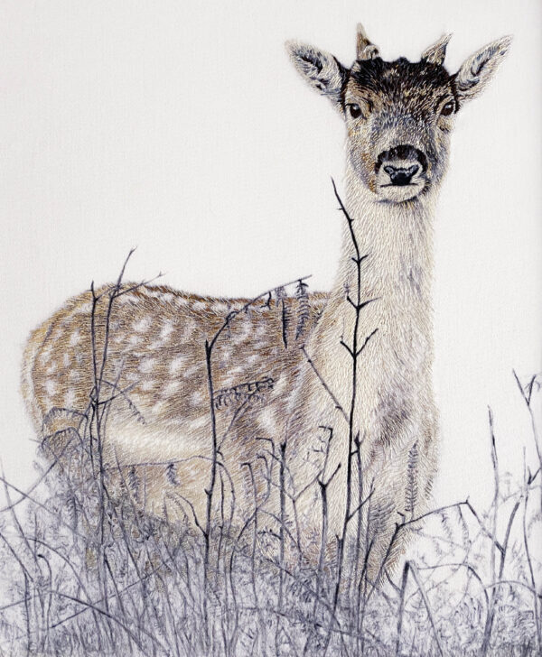 "Richmond Young Deer", 2021, de Susannah Weiland. Dibujo a lápiz impreso sobre tela de algodón y seda y bordado a mano con hilos de bordado fino mate, de seda y metálicos. Enmarcado: 13,2 pulgadas por 15,7 pulgadas. (Susannah Weiland)