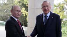 Erdogan propone una cumbre entre Putin y Zelenski en Turquía