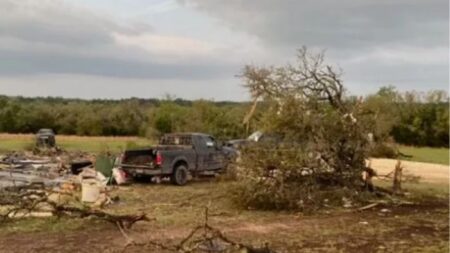 Niña sobrevive tras ser lanzada a un árbol por un tornado: «Está vigilada por ángeles»