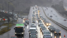 Muertes por accidentes de tránsito en EE. UU. suben al nivel más alto en dos décadas: Agencia federal