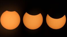 Eclipse solar del 30 de abril será visible en Argentina, Perú, Brasil y más países del Sudamérica