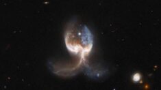 La NASA explora impresionantes “Alas de ángel” formadas por la colisión de 2 galaxias