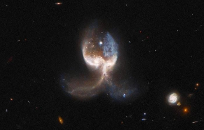 Imagen del telescopio espacial Hubble de la NASA/ESA que muestra dos galaxias fusionándose en el sistema VV-689, llamada "Ala de ángel". (ESA/Hubble y NASA, W. Keel; Reconocimiento: J. Schmidt)