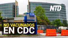 Cientos de empleados de los CDC no se vacunaron | NTD