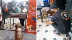 Perros callejeros saben que local peruano da comida gratis, así que esperan pacientemente su turno