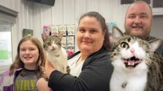 Amorosa familia adopta a gatito atigrado con un solo ojo que fue rechazado por su deformidad