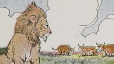 Fábulas de Esopo: Tres bueyes y un león