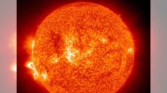 Mancha solar «muerta» podría provocar auroras boreales más intensas y bajas de lo habitual