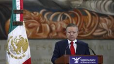 Supremo de México declara inconstitucionales algunas revisiones migratorias
