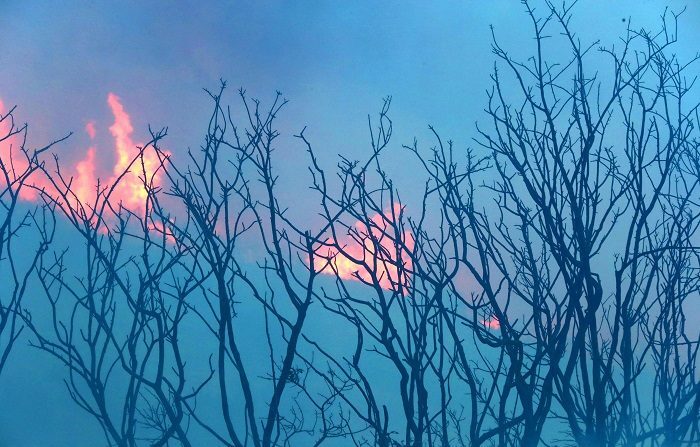 Imagen de archivo de un incendio forestal en "Ute Park Fire" al noreste de Nuevo México. EFE/Archivo