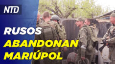 Pentágono: Mayoría de fuerzas rusas abandonaron Mariúpol; Psaki deja su puesto y presenta reemplazo