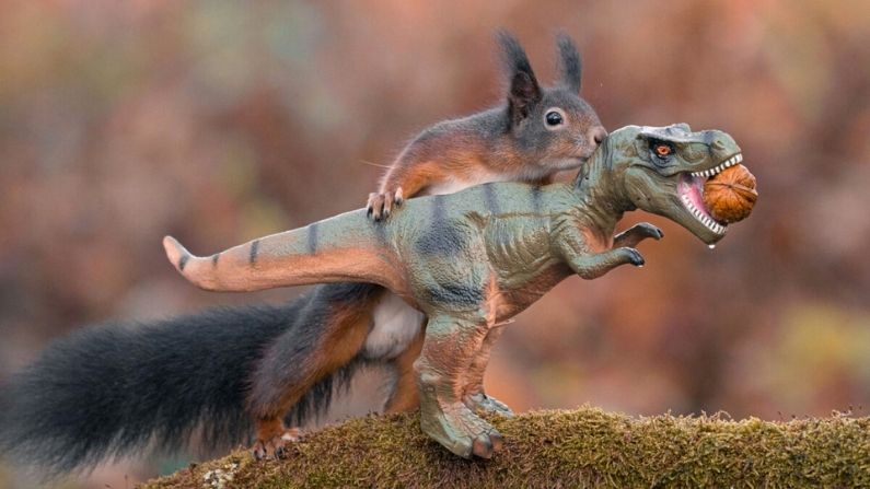 Fotógrafo captura ardillas jugando con dinosaurios de juguete en una adorable serie