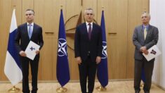 Suecia y Finlandia solicitan oficialmente la entrada en la OTAN