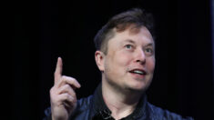 Elon Musk alerta sobre algoritmo de Twitter y el equipo legal de la compañía lo pone sobre aviso