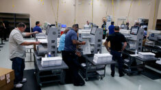 Corte de apelaciones restablece leyes de integridad electoral de Florida