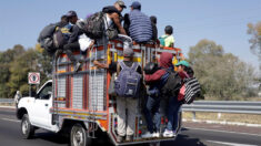 Supremo mexicano avala pena de hasta 16 años de cárcel a tráfico de migrantes