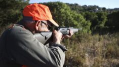 Denuncian en España 10,000 armas de caza a la venta en internet sin control