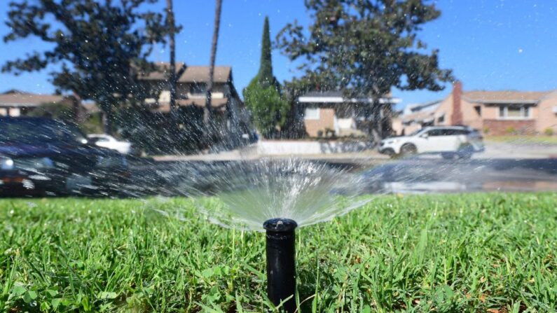 Un aspersor riega el césped en Alhambra, California, el 23 de septiembre de 2021. (Frederic J. Brown/AFP vía Getty Images)