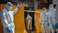 Expertos en enfermedades infecciosas de Shanghái piden a autoridades poner fin a política «cero COVID»