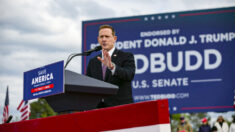 Representante Ted Budd vence en Carolina del Norte primarias republicanas para el Senado de EE. UU.