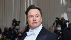Demandan a Musk, Tesla y SpaceX por supuesta estafa piramidal de Dogecoin