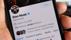 Musk sugiere recortar la oferta de compra de Twitter basándose en las cifras de bots