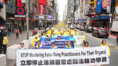 Jefe de DD.HH. de la ONU debe exigir que China deje de matar presos por sus órganos: Grupo de derechos
