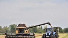Alto general estadounidense plantea “opciones militares” para ayudar a exportar grano desde Ucrania