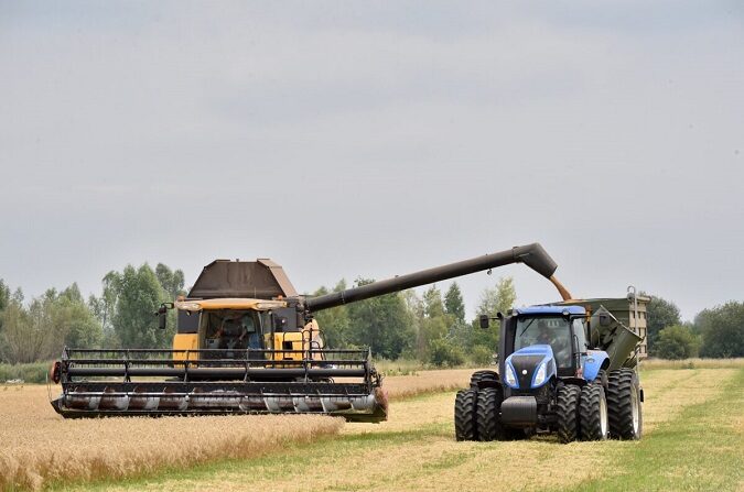 El grano se vierte desde una cosechadora a un tractor en el pueblo de Mala Divytsa, Ucrania, el 27 de julio de 2015. (Sergei Supinsky/AFP vía Getty Images)